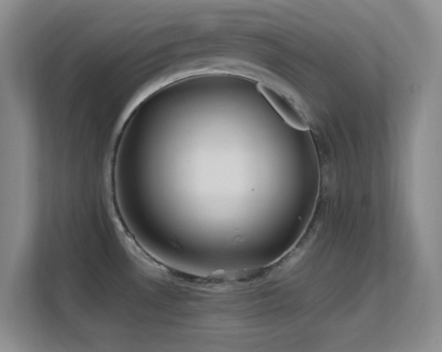 X0000113641530200909251231