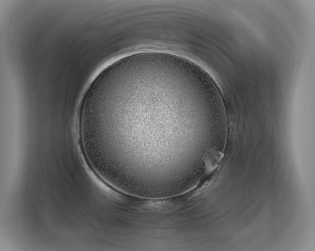 X0000113641531200909251231