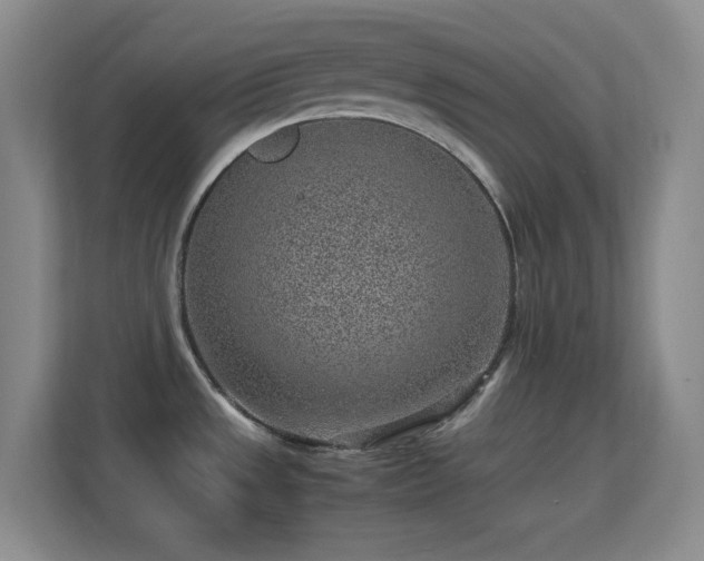 X0000113641533200909251231