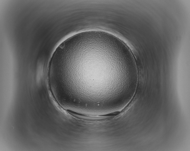 X0000113641534200909251231