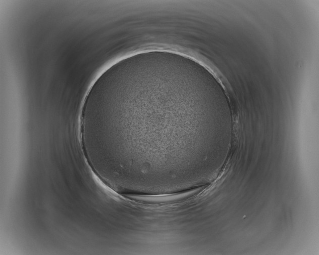 X0000113641535200909251231