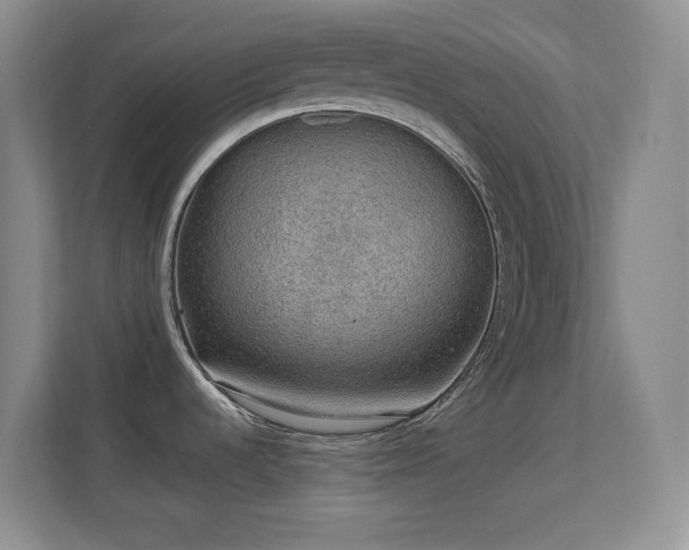 X0000113641536200909251231