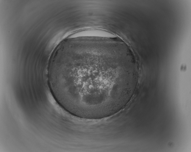 X0000113640002200910021928