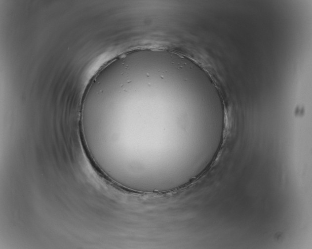 X0000113640003200910021928