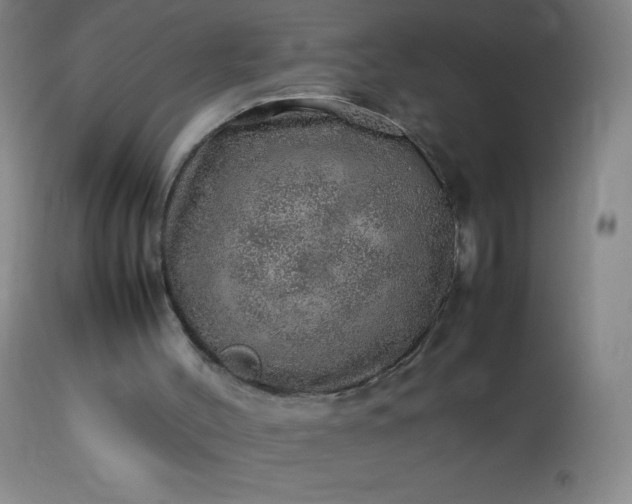 X0000113640004200910021928