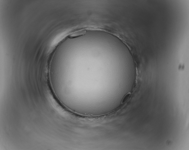 X0000113640005200910021928