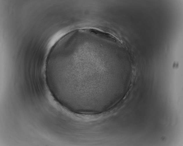 X0000113640006200910021928