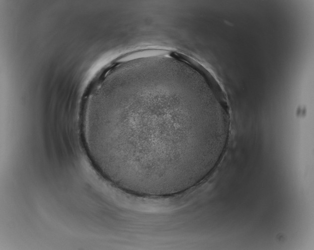 X0000113640008200910021928