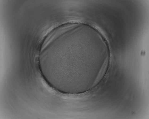 X0000113640009200910021928