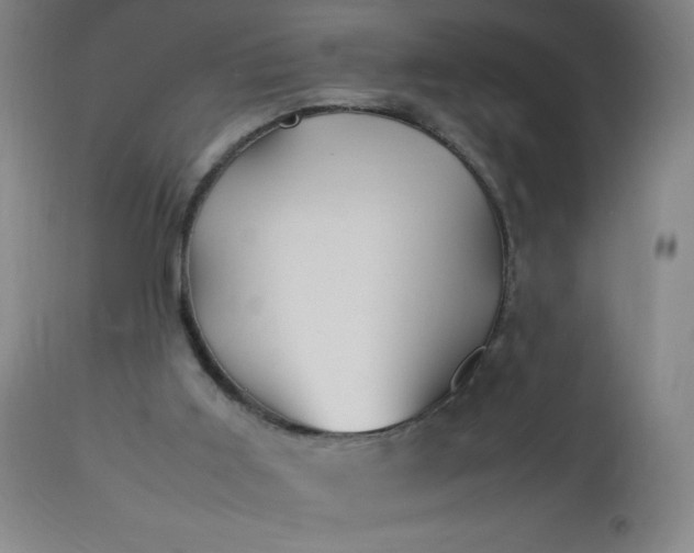 X0000113640011200910021928