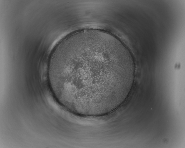 X0000113640012200910021928