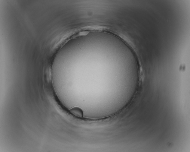 X0000113640013200910021928