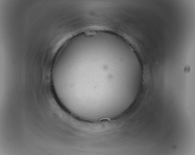 X0000113640015200910021928