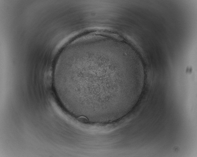 X0000113640016200910021928