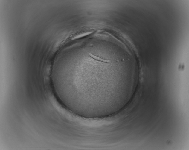 X0000113640018200910021927