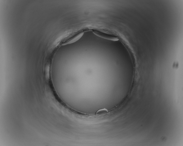 X0000113640019200910021927