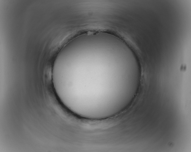 X0000113640021200910021927