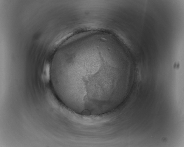 X0000113640022200910021927