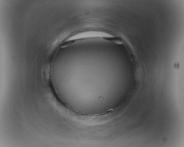 X0000113640023200910021927