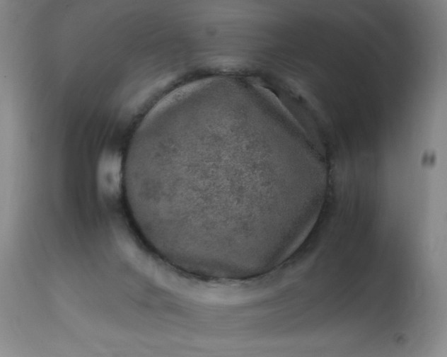 X0000113640024200910021927