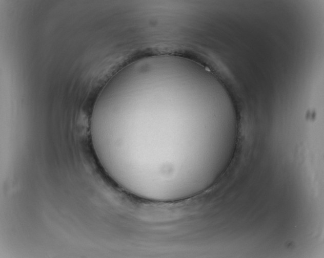 X0000113640025200910021927