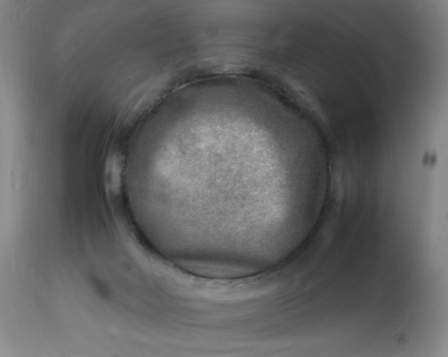 X0000113640026200910021927