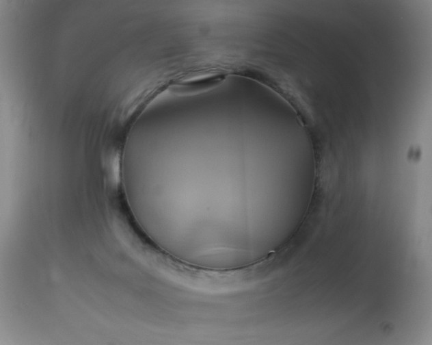 X0000113640027200910021927