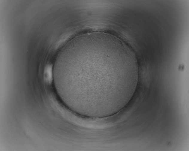 X0000113640028200910021927