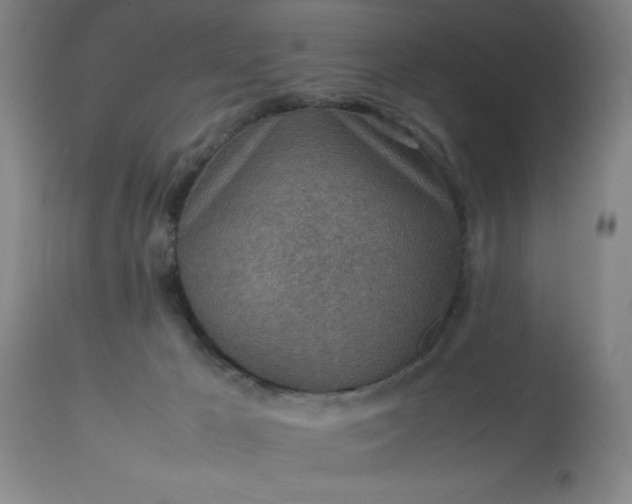 X0000113640029200910021927