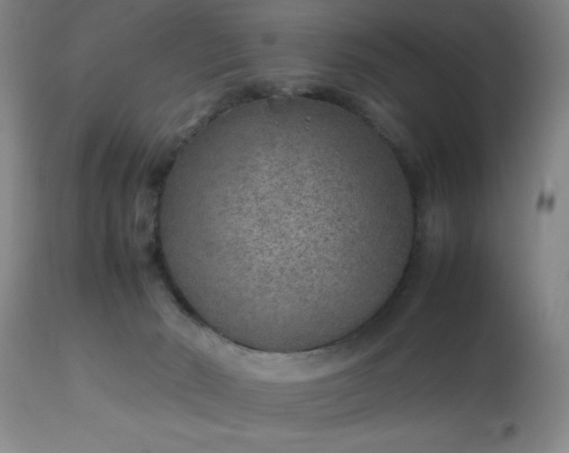 X0000113640030200910021927