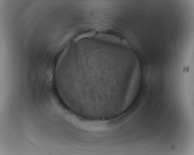 X0000113640032200910021927