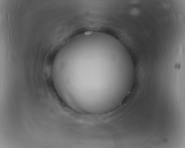 X0000113640033200910021927