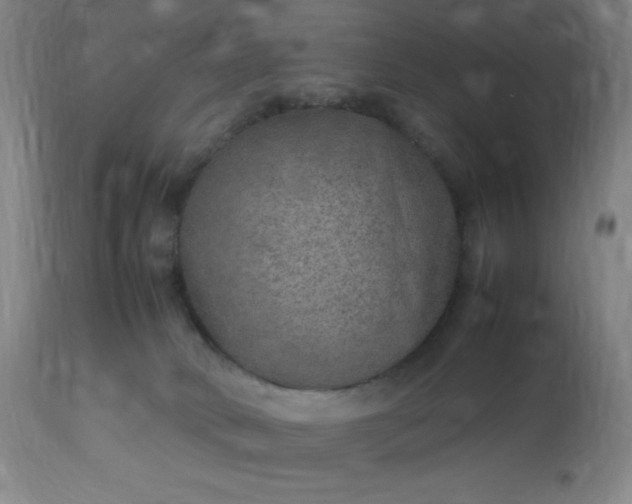 X0000113640034200910021927