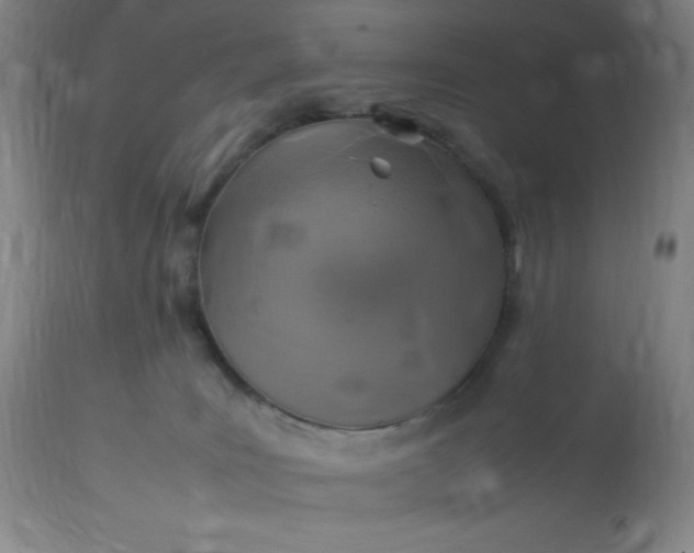 X0000113640035200910021927