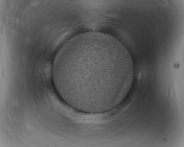 X0000113640036200910021927