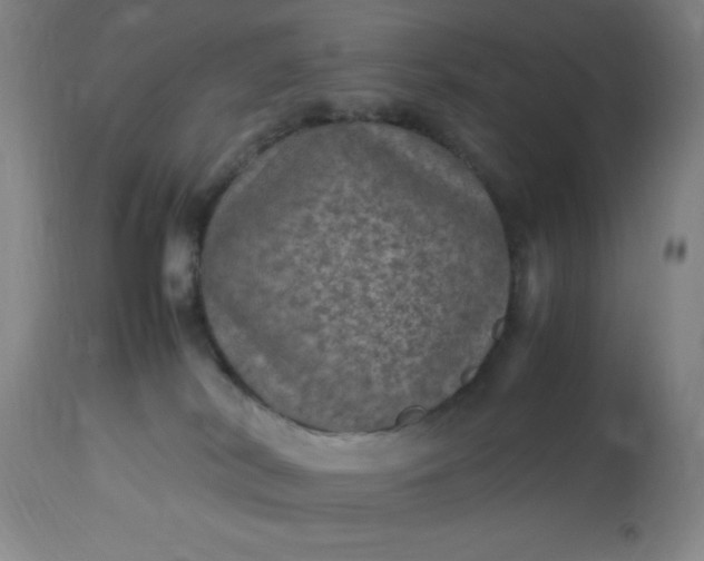 X0000113640038200910021927