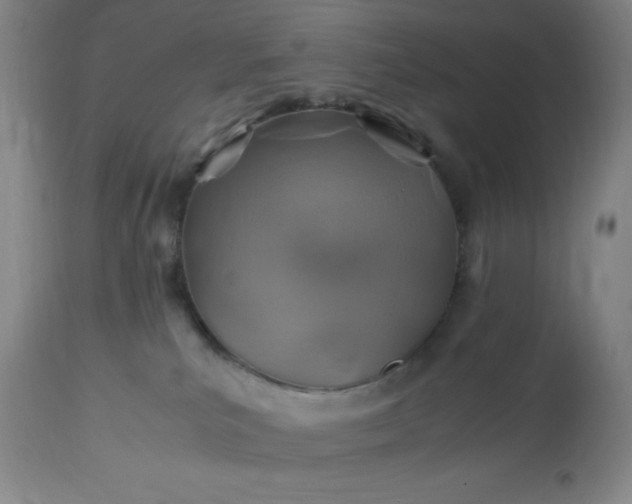 X0000113640039200910021927