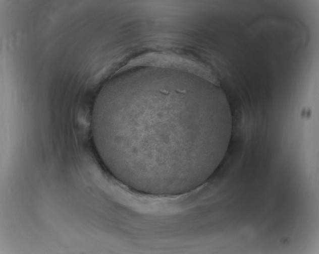 X0000113640040200910021927