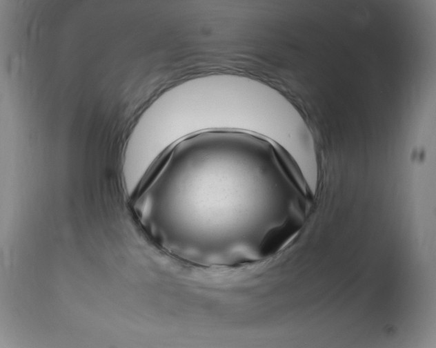 X0000113640041200910021927