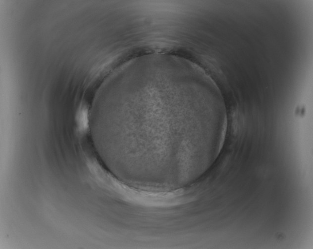 X0000113640042200910021927