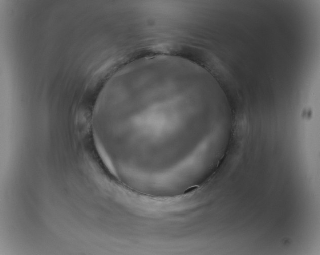 X0000113640043200910021927