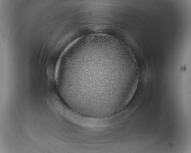 X0000113640044200910021927