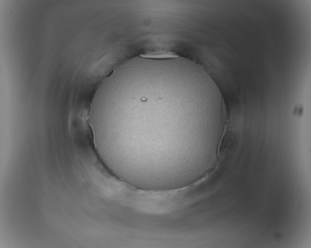 X0000113640045200910021927