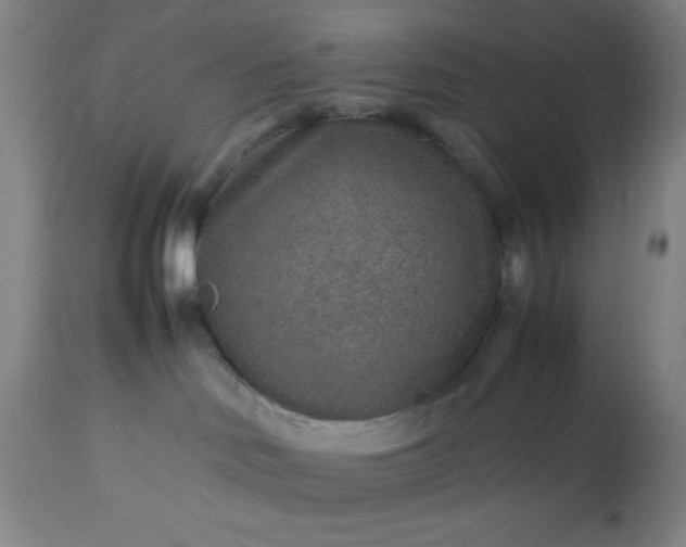 X0000113640046200910021927