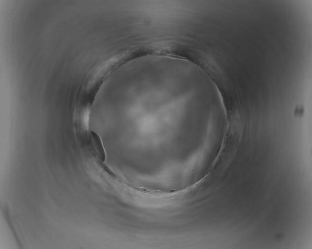 X0000113640047200910021927