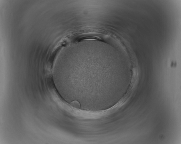 X0000113640048200910021927