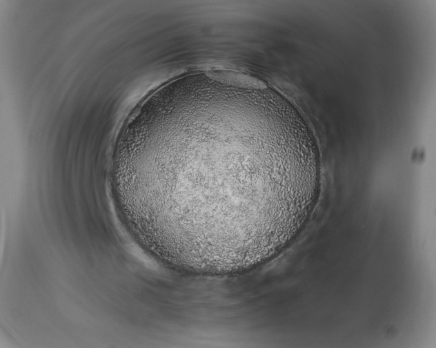 X0000113640049200910021926