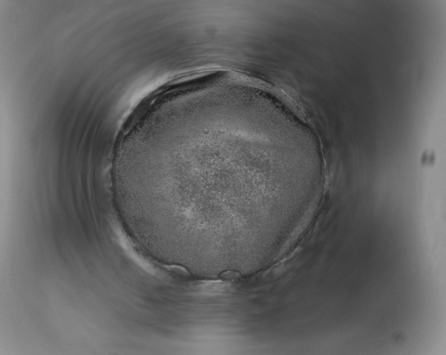 X0000113640050200910021926