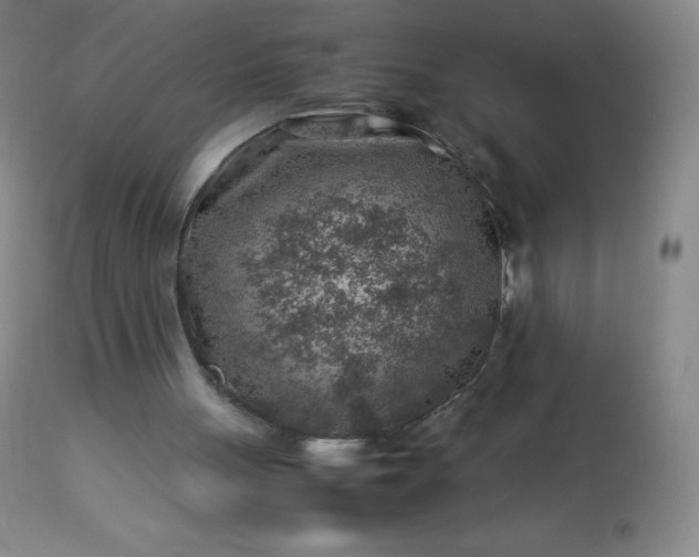 X0000113640051200910021926