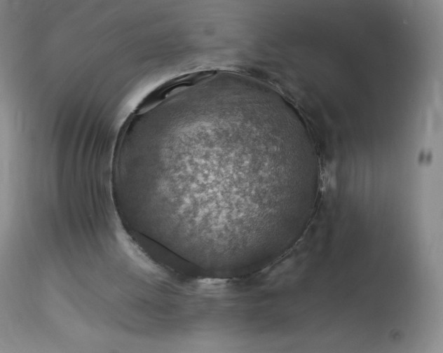 X0000113640052200910021926